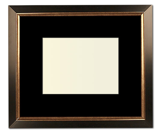 The Christenberry - Regular Plexi - Looking for picture frames worthy of framing your newest Irving Penn photograph? Our contemporary-style picture frames from FrameStoreDirect draw elements from the modernism movement of the mid-20th century. Clean lines and sleek materials are the basis for these fresh, chic, and en vogue frames.