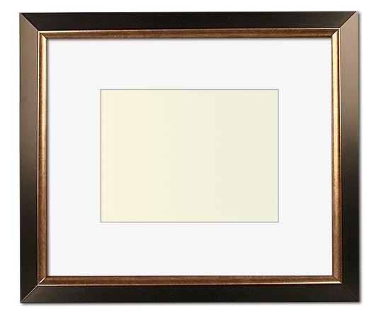 The Christenberry - Regular Plexi - Looking for picture frames worthy of framing your newest Irving Penn photograph? Our contemporary-style picture frames from FrameStoreDirect draw elements from the modernism movement of the mid-20th century. Clean lines and sleek materials are the basis for these fresh, chic, and en vogue frames.