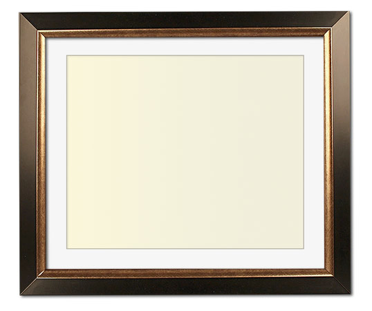 The Christenberry - Regular Plexi - Looking for picture frames worthy of framing your newest Irving Penn photograph? Our contemporary-style picture frames from FrameStoreDirect draw elements from the modernism movement of the mid-20th century. Clean lines and sleek materials are the basis for these fresh, chic, and en vogue frames.