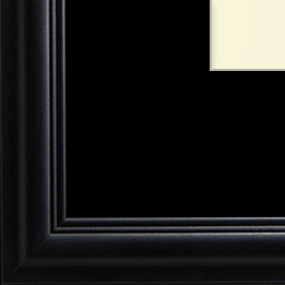 The Eggleston - Regular Plexi - Looking for picture frames worthy of framing your newest Irving Penn photograph? Our contemporary-style picture frames from FrameStoreDirect draw elements from the modernism movement of the mid-20th century. Clean lines and sleek materials are the basis for these fresh, chic, and en vogue frames.