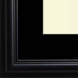 The Eggleston - Regular Plexi - Looking for picture frames worthy of framing your newest Irving Penn photograph? Our contemporary-style picture frames from FrameStoreDirect draw elements from the modernism movement of the mid-20th century. Clean lines and sleek materials are the basis for these fresh, chic, and en vogue frames.