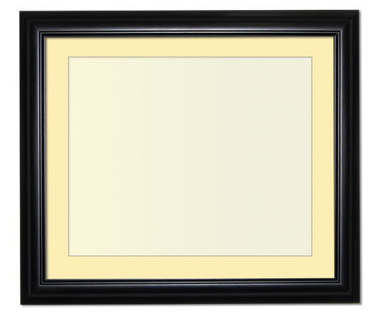 The Eggleston - Regular Plexi - Looking for picture frames worthy of framing your newest Irving Penn photograph? Our contemporary-style picture frames from FrameStoreDirect draw elements from the modernism movement of the mid-20th century. Clean lines and sleek materials are the basis for these fresh, chic, and en vogue frames.