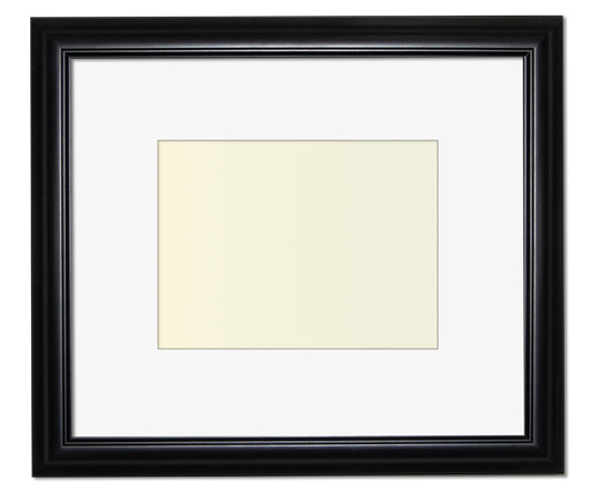 The Eggleston - Regular Plexi - Looking for picture frames worthy of framing your newest Irving Penn photograph? Our contemporary-style picture frames from FrameStoreDirect draw elements from the modernism movement of the mid-20th century. Clean lines and sleek materials are the basis for these fresh, chic, and en vogue frames.