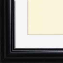 The Eggleston - Regular Plexi - Looking for picture frames worthy of framing your newest Irving Penn photograph? Our contemporary-style picture frames from FrameStoreDirect draw elements from the modernism movement of the mid-20th century. Clean lines and sleek materials are the basis for these fresh, chic, and en vogue frames.