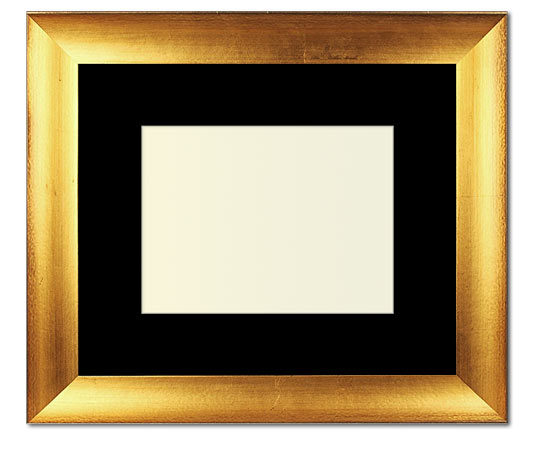 The Jackson - Regular Plexi - Looking for picture frames worthy of framing your newest Irving Penn photograph? Our contemporary-style picture frames from FrameStoreDirect draw elements from the modernism movement of the mid-20th century. Clean lines and sleek materials are the basis for these fresh, chic, and en vogue frames.