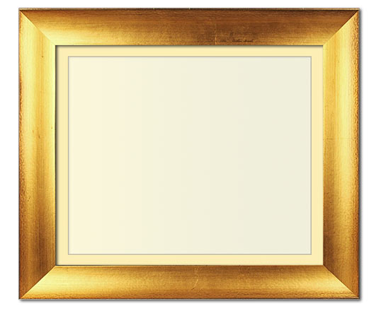 The Jackson - Regular Plexi - Looking for picture frames worthy of framing your newest Irving Penn photograph? Our contemporary-style picture frames from FrameStoreDirect draw elements from the modernism movement of the mid-20th century. Clean lines and sleek materials are the basis for these fresh, chic, and en vogue frames.