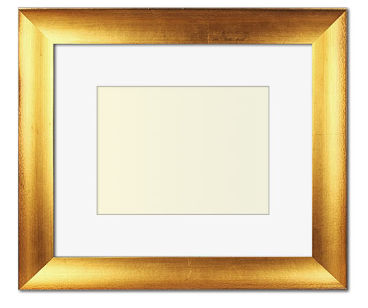 The Jackson - Regular Plexi - Looking for picture frames worthy of framing your newest Irving Penn photograph? Our contemporary-style picture frames from FrameStoreDirect draw elements from the modernism movement of the mid-20th century. Clean lines and sleek materials are the basis for these fresh, chic, and en vogue frames.