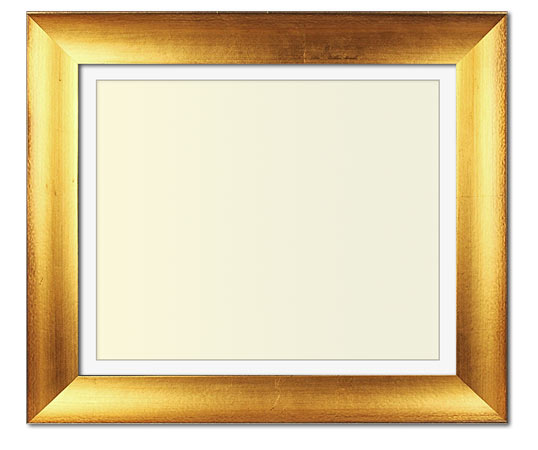 The Jackson - Regular Plexi - Looking for picture frames worthy of framing your newest Irving Penn photograph? Our contemporary-style picture frames from FrameStoreDirect draw elements from the modernism movement of the mid-20th century. Clean lines and sleek materials are the basis for these fresh, chic, and en vogue frames.