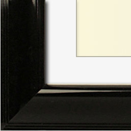 The Ketchum - Regular Plexi - Looking for picture frames worthy of framing your newest Irving Penn photograph? Our contemporary-style picture frames from FrameStoreDirect draw elements from the modernism movement of the mid-20th century. Clean lines and sleek materials are the basis for these fresh, chic, and en vogue frames.