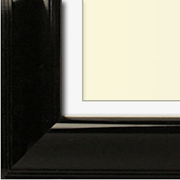 The Ketchum - Regular Plexi - Looking for picture frames worthy of framing your newest Irving Penn photograph? Our contemporary-style picture frames from FrameStoreDirect draw elements from the modernism movement of the mid-20th century. Clean lines and sleek materials are the basis for these fresh, chic, and en vogue frames.