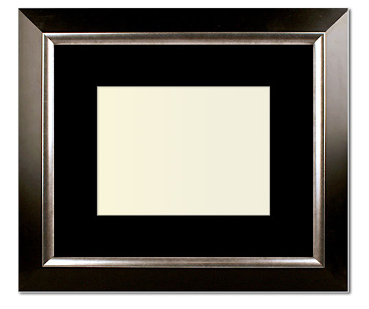 The Penn - Regular Plexi - Looking for picture frames worthy of framing your newest Irving Penn photograph? Our contemporary-style picture frames from FrameStoreDirect draw elements from the modernism movement of the mid-20th century. Clean lines and sleek materials are the basis for these fresh, chic, and en vogue frames.