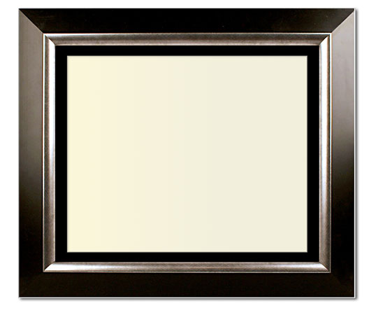 The Penn - Regular Plexi - Looking for picture frames worthy of framing your newest Irving Penn photograph? Our contemporary-style picture frames from FrameStoreDirect draw elements from the modernism movement of the mid-20th century. Clean lines and sleek materials are the basis for these fresh, chic, and en vogue frames.