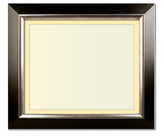 The Penn - Regular Plexi - Looking for picture frames worthy of framing your newest Irving Penn photograph? Our contemporary-style picture frames from FrameStoreDirect draw elements from the modernism movement of the mid-20th century. Clean lines and sleek materials are the basis for these fresh, chic, and en vogue frames.