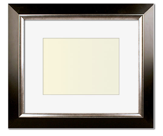 The Penn - Regular Plexi - Looking for picture frames worthy of framing your newest Irving Penn photograph? Our contemporary-style picture frames from FrameStoreDirect draw elements from the modernism movement of the mid-20th century. Clean lines and sleek materials are the basis for these fresh, chic, and en vogue frames.