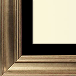 The Pollack - Regular Plexi - Transitional style is a marriage of traditional and modern finishes, materials and fabrics. The result is an elegant, enduring design that is both comfortable and classic. Through its simple lines, neutral color scheme, and use of light and warmth, transitional style joins the best of both the traditional and modern worlds.