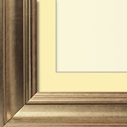 The Pollack - Regular Plexi - Transitional style is a marriage of traditional and modern finishes, materials and fabrics. The result is an elegant, enduring design that is both comfortable and classic. Through its simple lines, neutral color scheme, and use of light and warmth, transitional style joins the best of both the traditional and modern worlds.