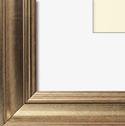 The Pollack - Regular Plexi - Transitional style is a marriage of traditional and modern finishes, materials and fabrics. The result is an elegant, enduring design that is both comfortable and classic. Through its simple lines, neutral color scheme, and use of light and warmth, transitional style joins the best of both the traditional and modern worlds.