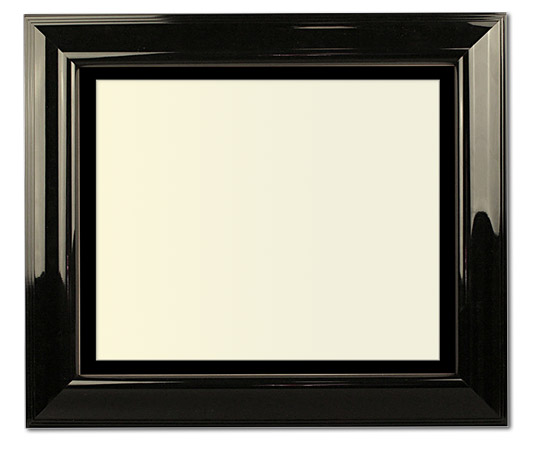 The Salgado - Regular Plexi - Looking for picture frames worthy of framing your newest Irving Penn photograph? Our contemporary-style picture frames from FrameStoreDirect draw elements from the modernism movement of the mid-20th century. Clean lines and sleek materials are the basis for these fresh, chic, and en vogue frames.