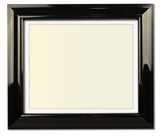 The Salgado - Regular Plexi - Looking for picture frames worthy of framing your newest Irving Penn photograph? Our contemporary-style picture frames from FrameStoreDirect draw elements from the modernism movement of the mid-20th century. Clean lines and sleek materials are the basis for these fresh, chic, and en vogue frames.