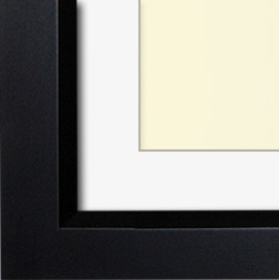 The Winogrand - Regular Plexi - Looking for picture frames worthy of framing your newest Irving Penn photograph? Our contemporary-style picture frames from FrameStoreDirect draw elements from the modernism movement of the mid-20th century. Clean lines and sleek materials are the basis for these fresh, chic, and en vogue frames.