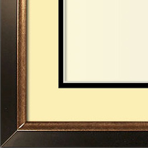 The Christenberry III - Regular Plexi - Looking for picture frames worthy of framing your newest Irving Penn photograph? Our contemporary-style picture frames from FrameStoreDirect draw elements from the modernism movement of the mid-20th century. Clean lines and sleek materials are the basis for these fresh, chic, and en vogue frames.