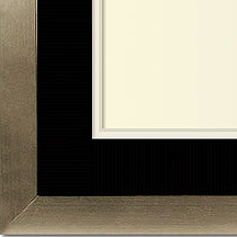 The Davis I - Regular Plexi - Looking for picture frames worthy of framing your newest Irving Penn photograph? Our contemporary-style picture frames from FrameStoreDirect draw elements from the modernism movement of the mid-20th century. Clean lines and sleek materials are the basis for these fresh, chic, and en vogue frames.