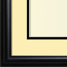 The Eggleston III - Regular Plexi - Looking for picture frames worthy of framing your newest Irving Penn photograph? Our contemporary-style picture frames from FrameStoreDirect draw elements from the modernism movement of the mid-20th century. Clean lines and sleek materials are the basis for these fresh, chic, and en vogue frames.