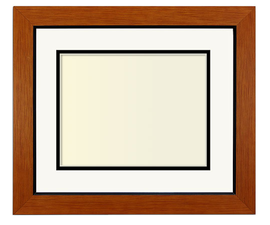 The Mapplethorpe I - Regular Plexi - Looking for picture frames worthy of framing your newest Irving Penn photograph? Our contemporary-style picture frames from FrameStoreDirect draw elements from the modernism movement of the mid-20th century. Clean lines and sleek materials are the basis for these fresh, chic, and en vogue frames.